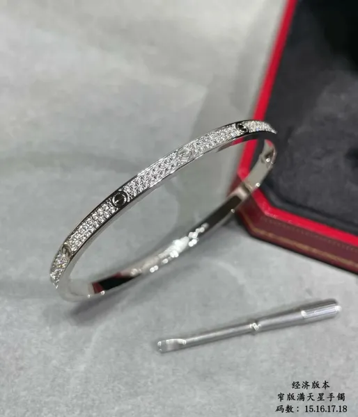 Cartier Juste un Clou Bracelet Silver - 2
