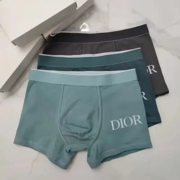 Dior Logo Boxer Briefs in Mint Green, Teal, and Charcoal - 1