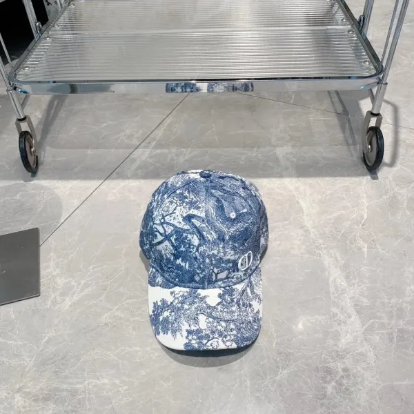Dior Toile de Jouy Baseball Cap Blue and White - 1