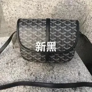 Goyard Saint Louis PM Black Crossbody Bag - 1