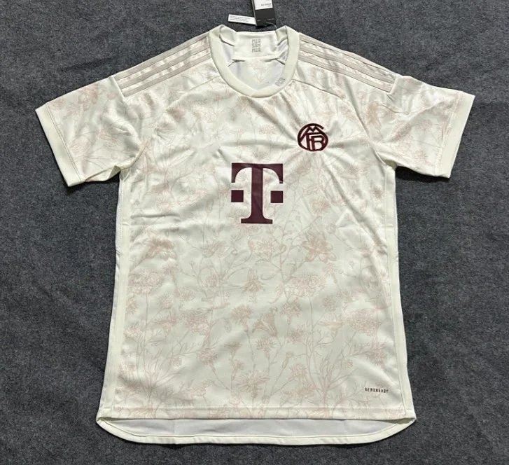 24-25拜仁第二客场