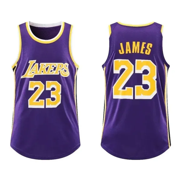 Los Angeles Lakers LeBron James #23 Purple Basketball Jersey - 1
