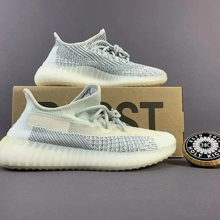 adidas Yeezy 350 Sne