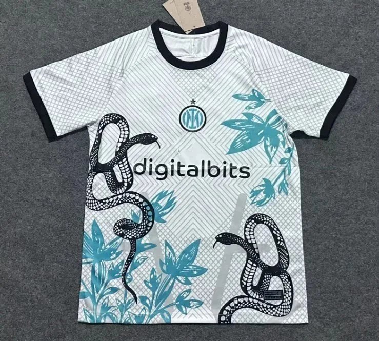 24-25国际米兰特别版