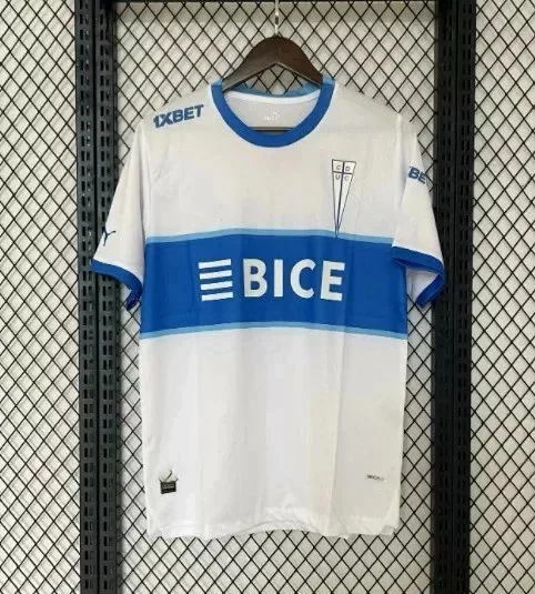 Puma Football Jerseys 2024-25 Club Jersey product detail image 6