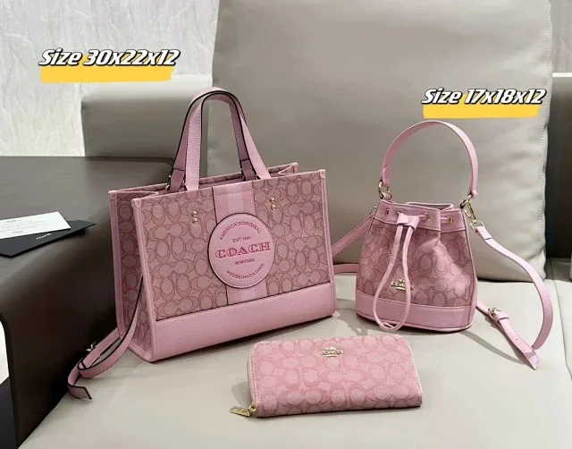 Celine Handbags Triomphe Monogram Handbag Set product detail image 10