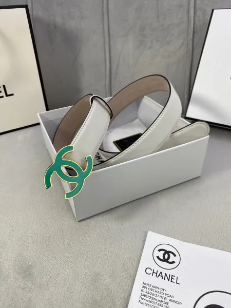 Dior Oblique Monogram Gray Canvas Belt with Gold-Tone Hexagonal Buckle - 10