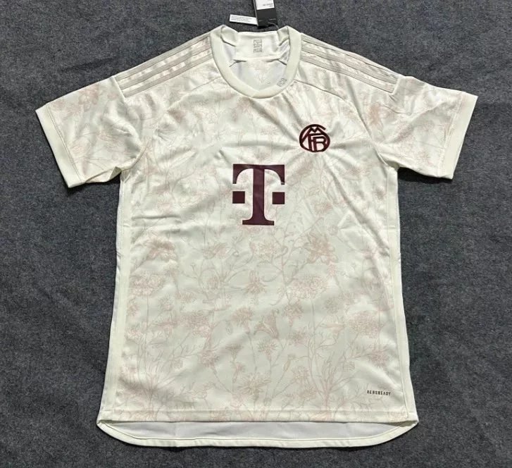 24-25拜仁第二客场