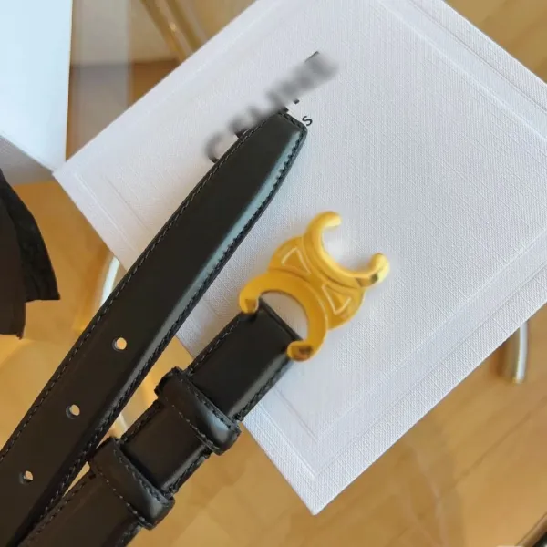 Celine Triomphe Gold Buckle Black Leather Belt - 6