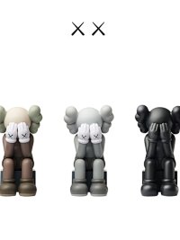 Kaws Figure — seller photo 5