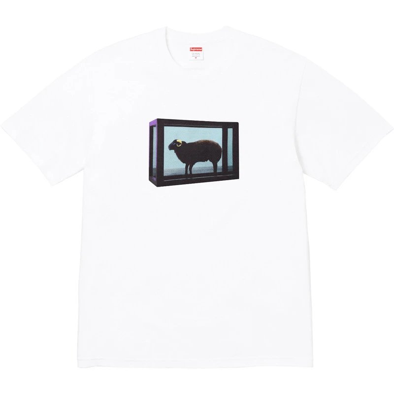 Supreme T-Shirts Short-Sleeve Graphic — 35