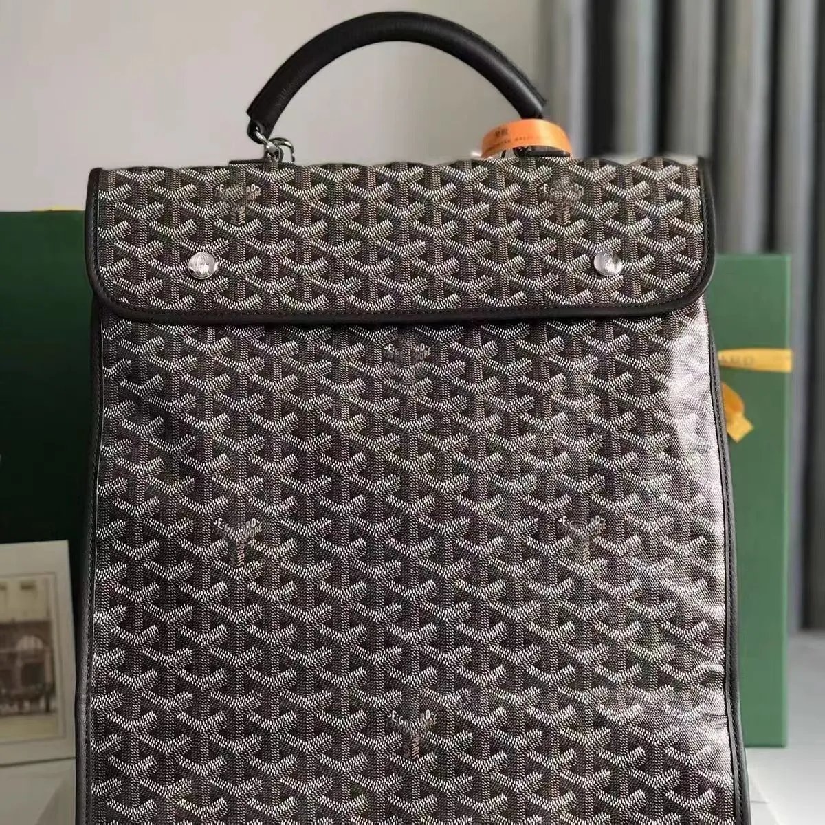 Goyard Backpack 2