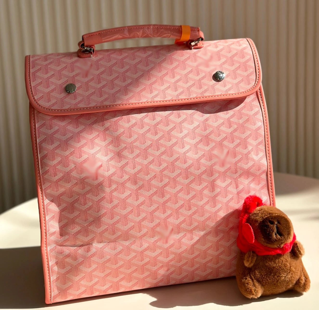 Goyard bag (Travel bag Backpack Crossbody bag