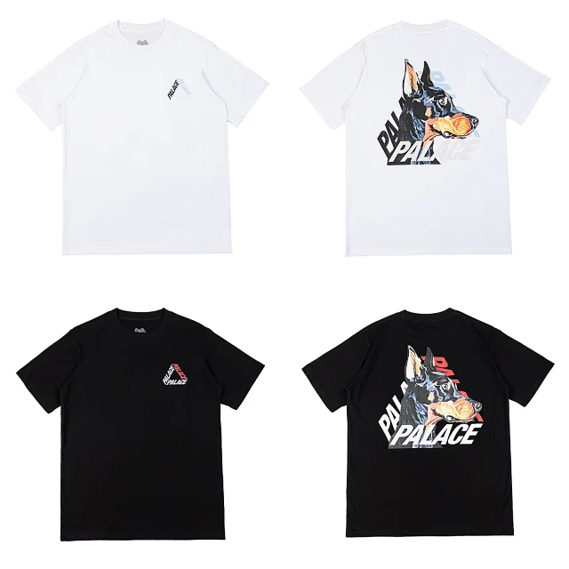 Palace T-Shirts Short-Sleeve Tri-Ferg Graphic product detail image 13