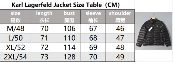Comme des Garçons Karl Lagerfeld x AR Agerfel Hooded Puffer Vest Black Outerwear.vest - 4