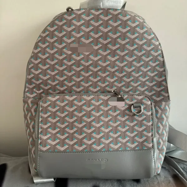 Goyard Saint Louis Backpack Multicolor - 1