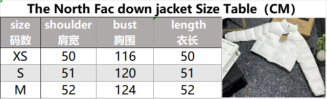 The North Face Down Jackets Short Puffer Jacket image 3