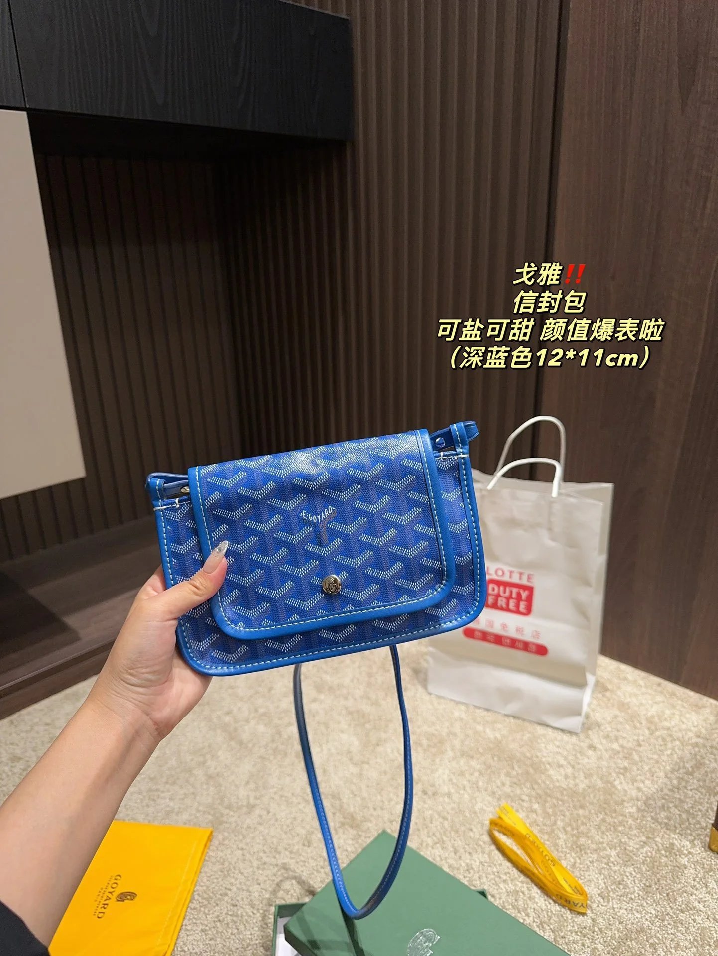 Goyard bag (Travel bag Backpack Crossbody bag