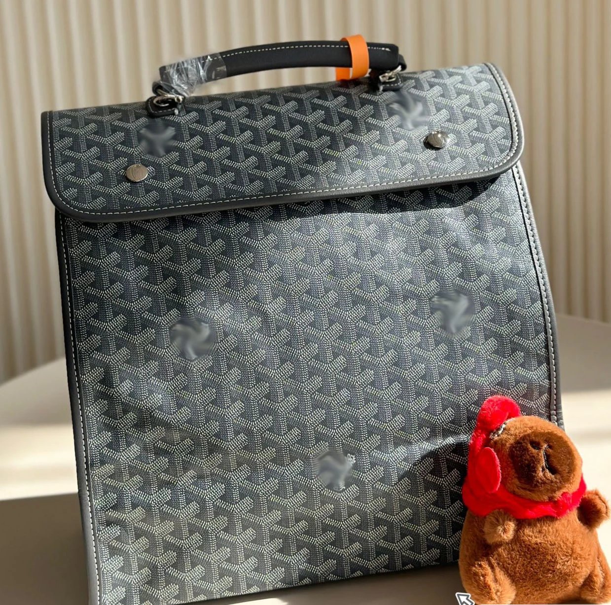 Goyard bag (Travel bag Backpack Crossbody bag