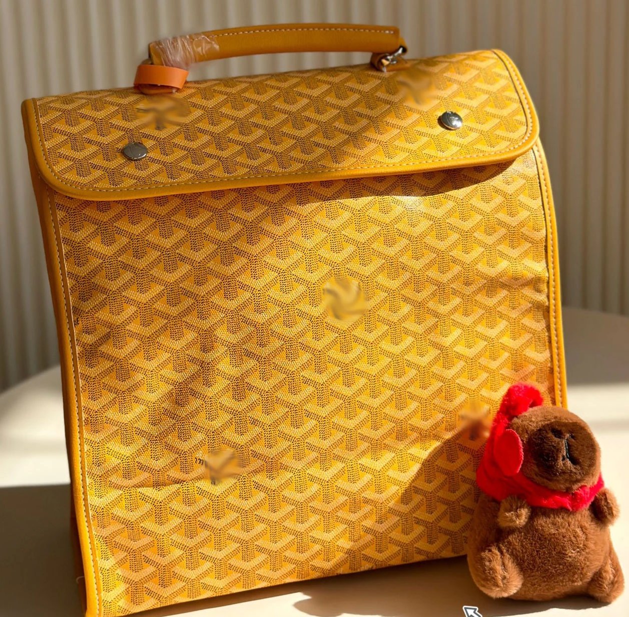 Goyard bag (Travel bag Backpack Crossbody bag