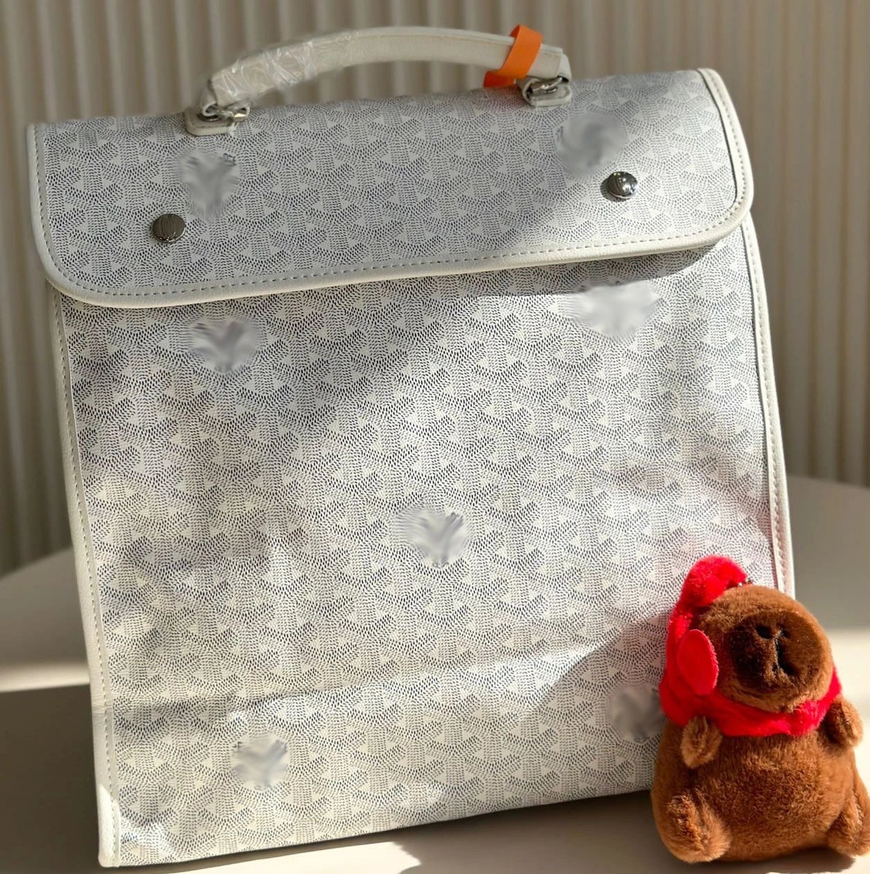 Goyard bag (Travel bag Backpack Crossbody bag