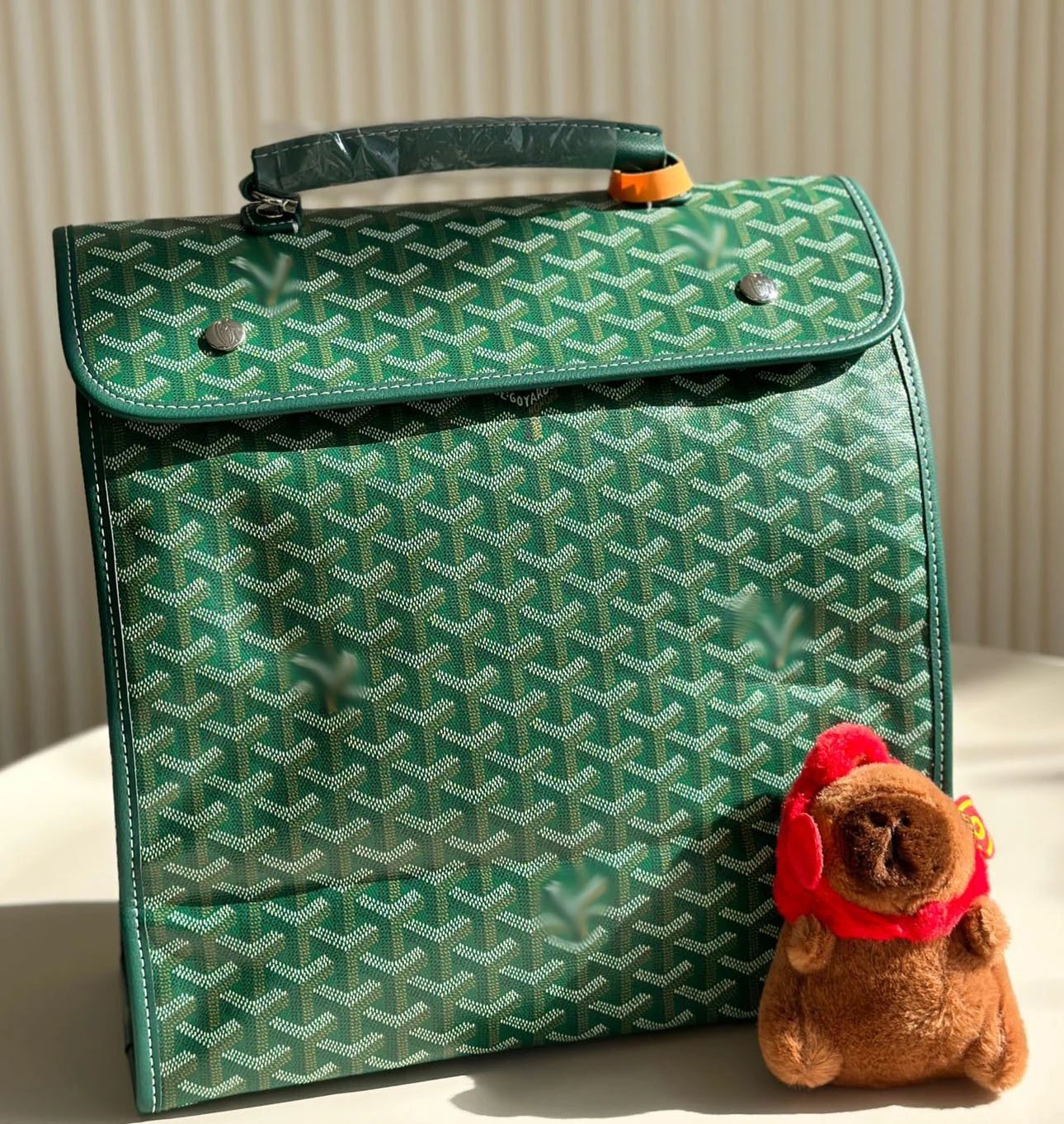 Goyard bag (Travel bag Backpack Crossbody bag