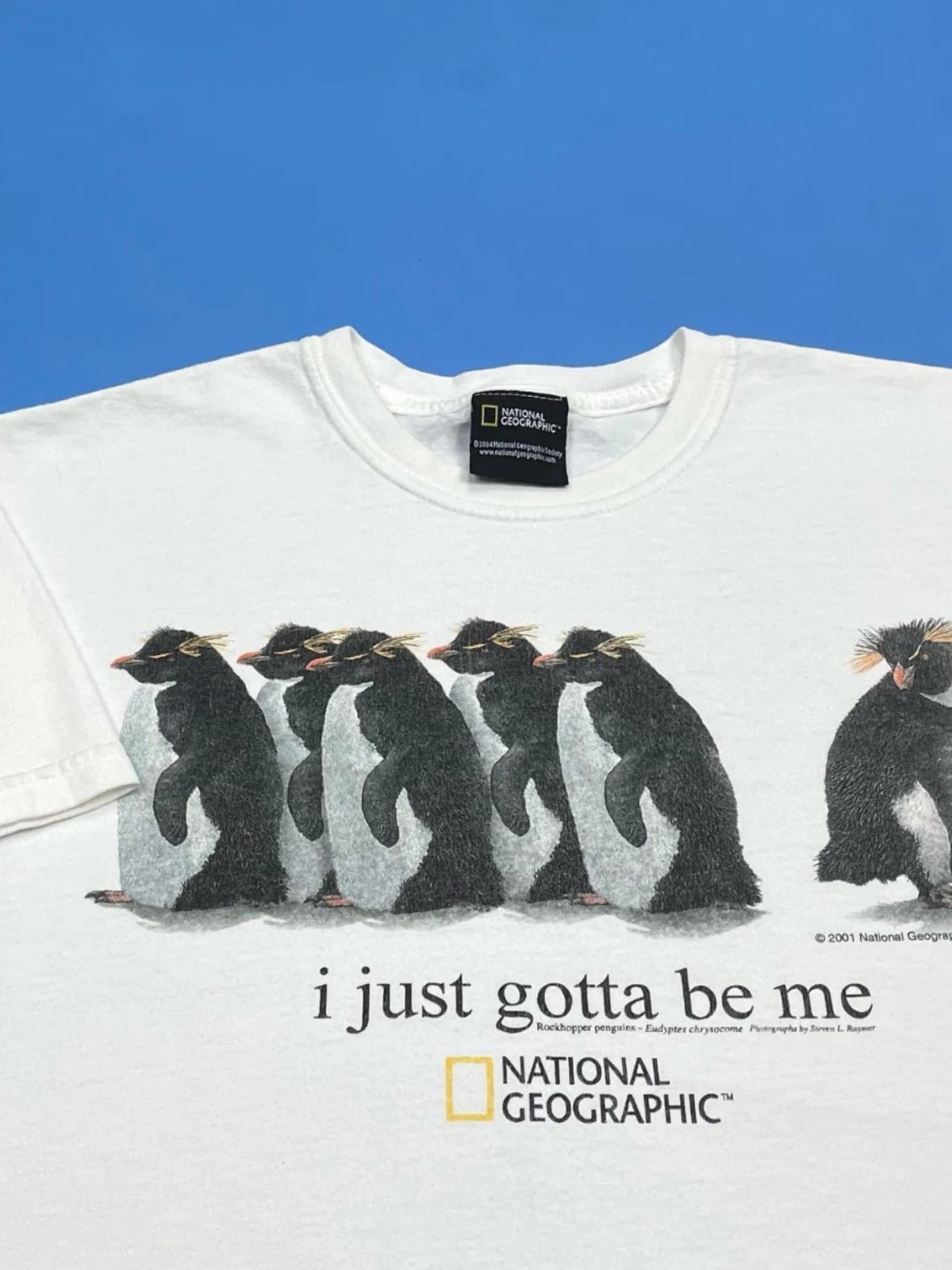 Recommended Student Items!  Cartoon Cute Short-Sleeved Tops with Unique Penguin Print Design, Versatile T-Shirts