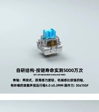 keyboard switches — seller photo 8