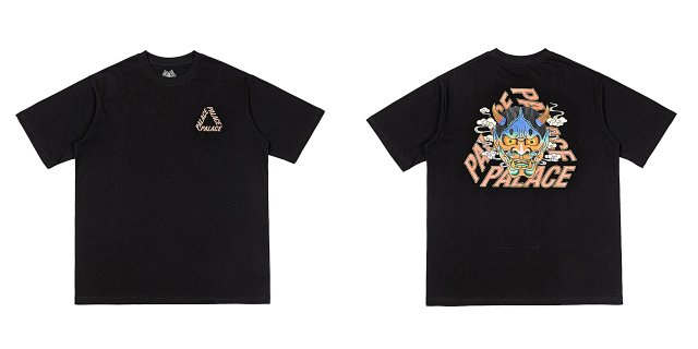 Palace T-shirt TEE: seller detail photo 13