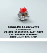 keyboard switches — seller photo 9