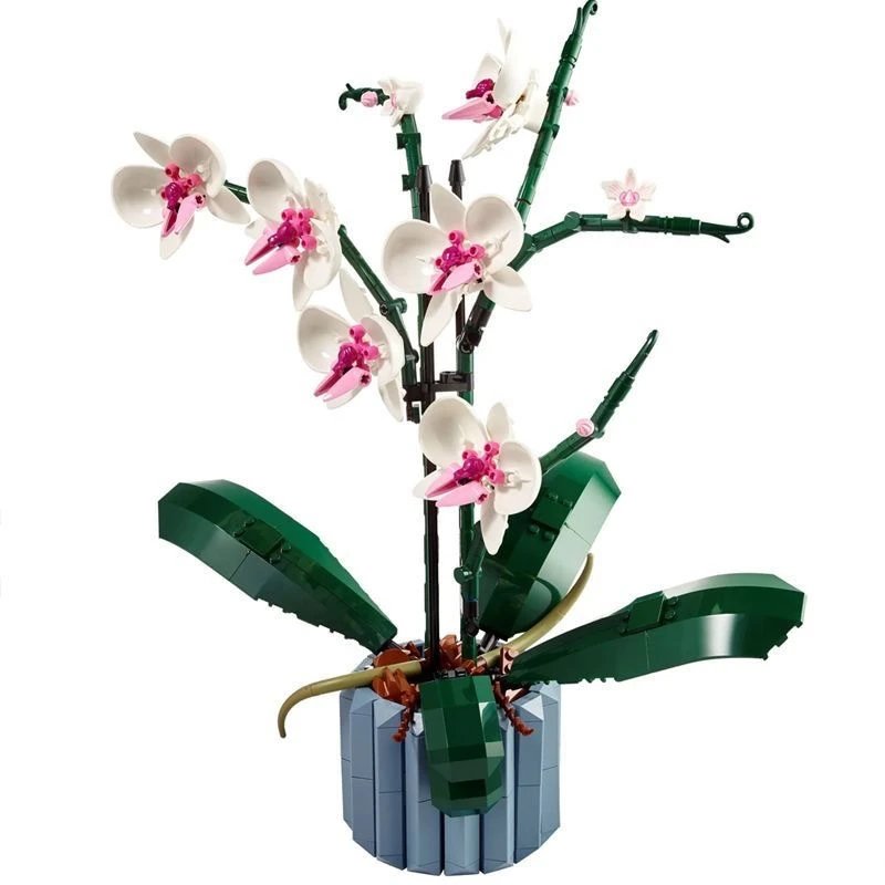 Orchid [color box packaging]