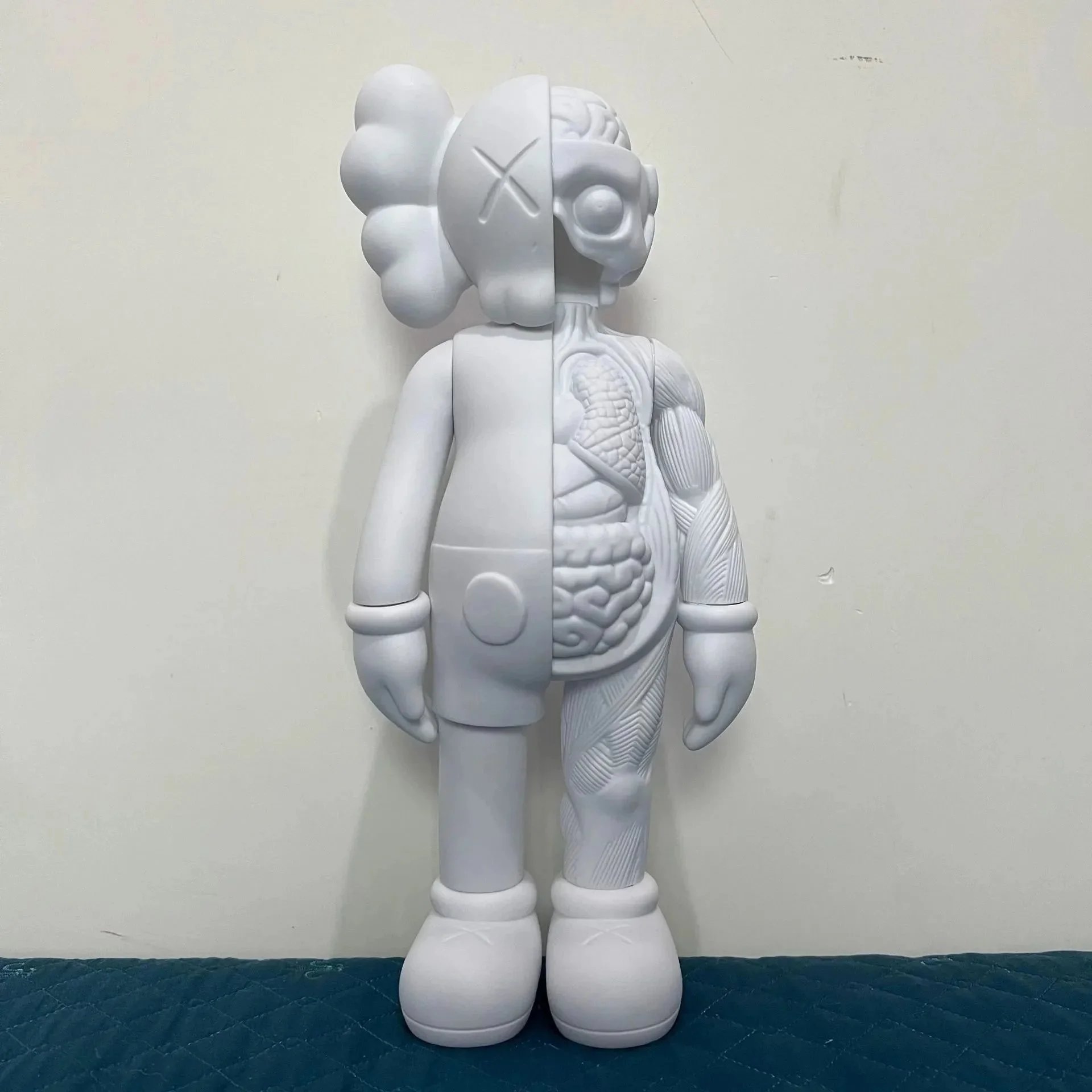 半解剖纯白-20 cm