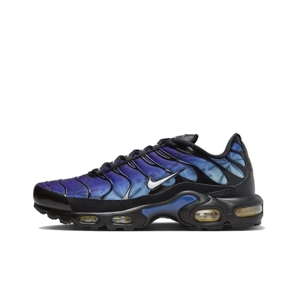 FV0393-001/Blue Purple