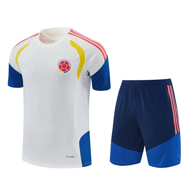 Spain National Football Team Jerseys Short-Sleeve Shirt and Shorts Set product detail image 10
