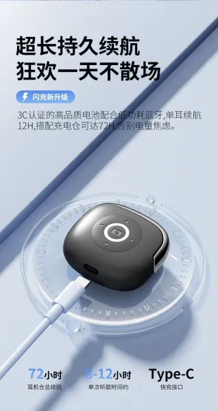 Design TWS Earbuds with Charging Case Black - 12