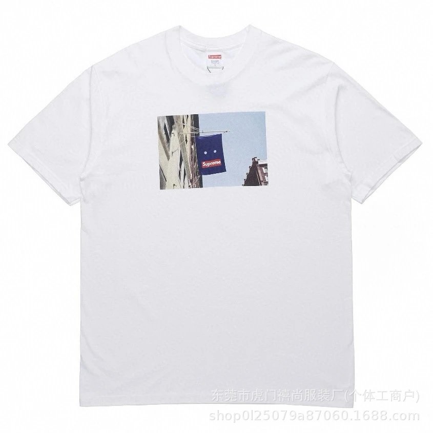白色856