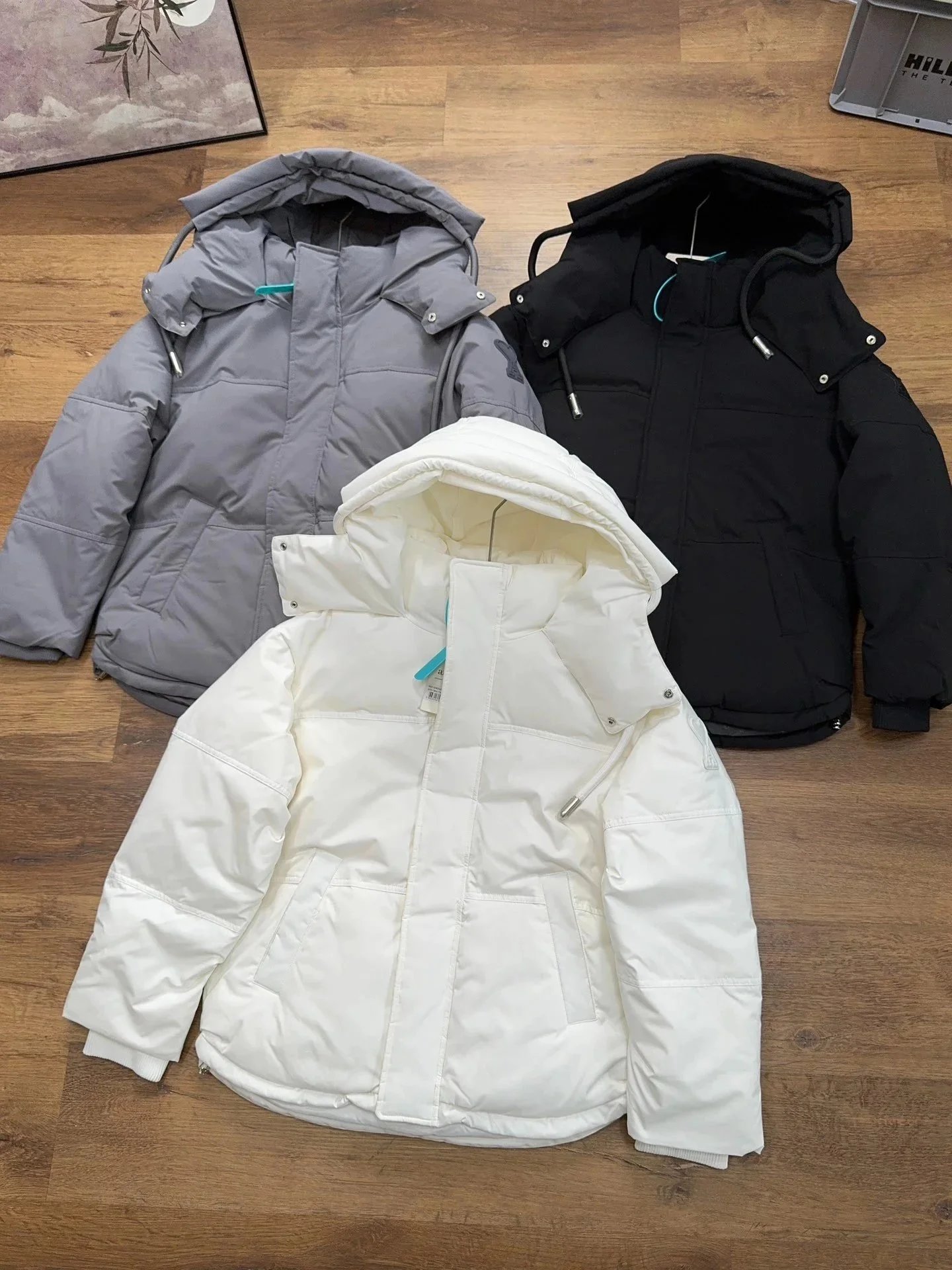Puffer Jacket Gray White Black Light Blue Charcoal Hooded Winter Coat