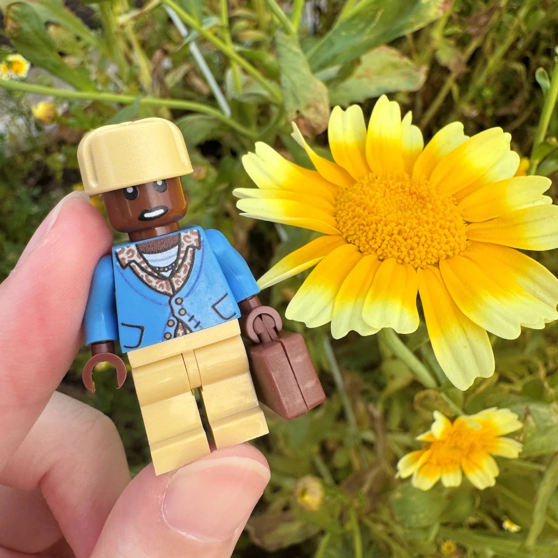 Tyler The Creator Call Me If You Get Lost Album Art Print Decorative Poster