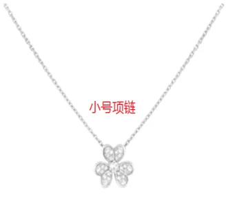 Dior Rose des Vents Small Pendant Necklace Silver - 1
