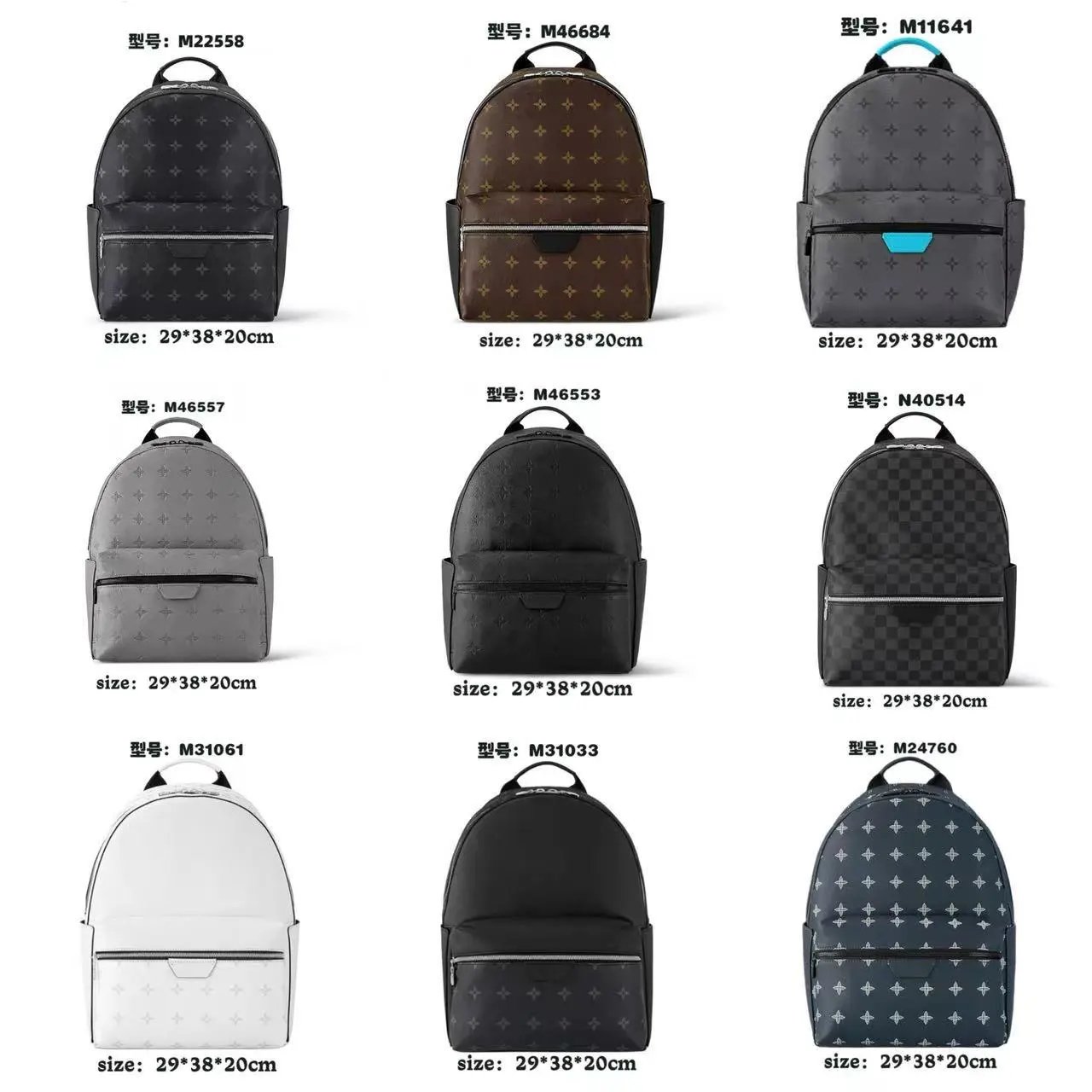 LV Backpack