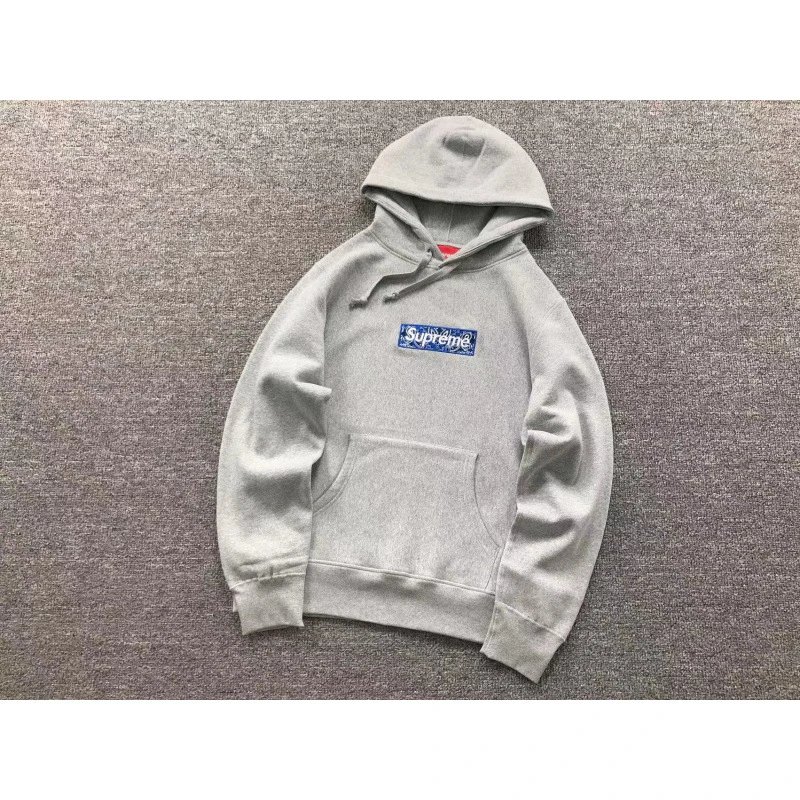 E513 Light Gray Hoodie
