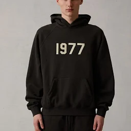 thumbnail for 1977 Hoodie 22 1977 hoodies