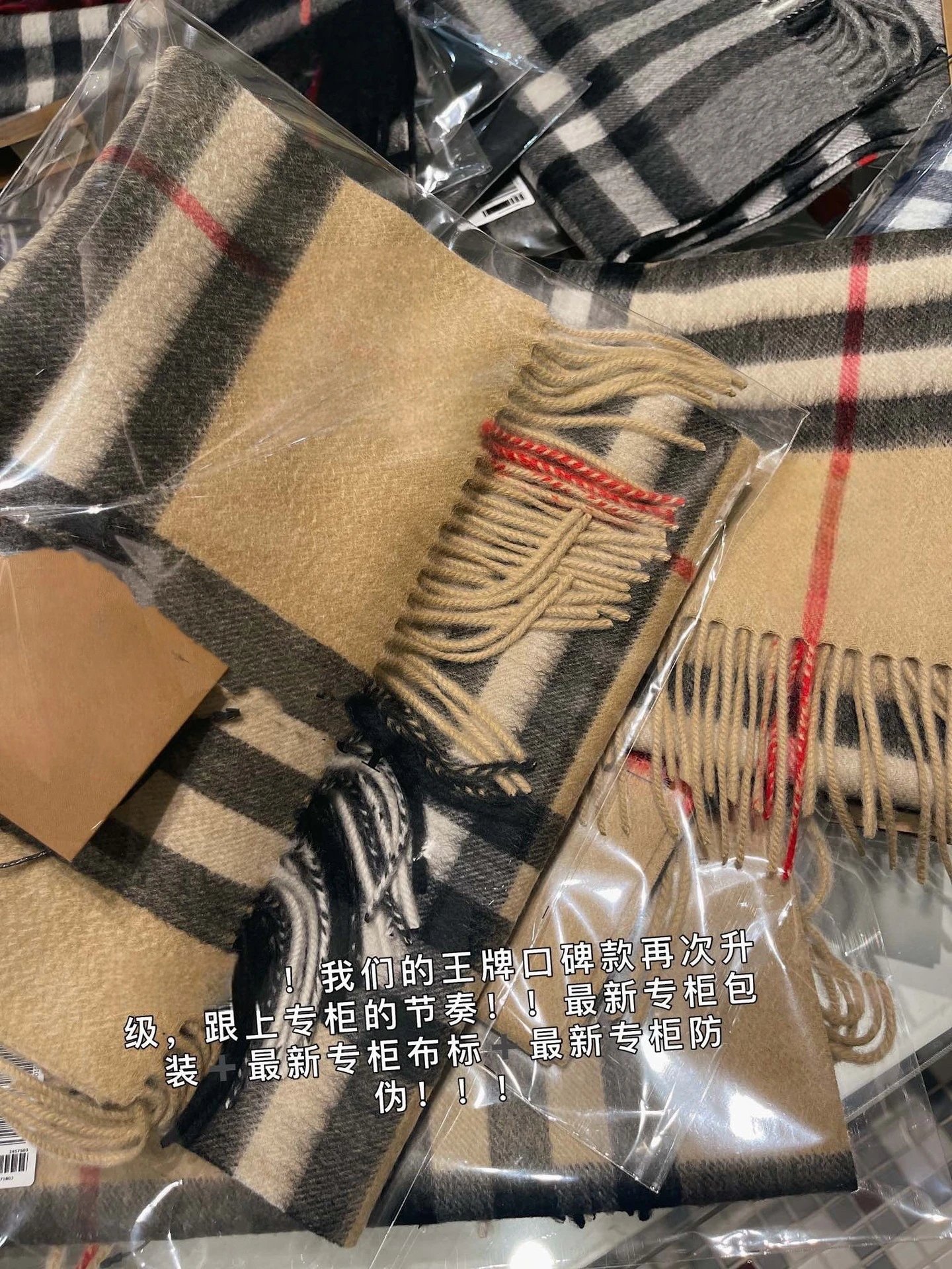 Plaid Camel [Cashmere]