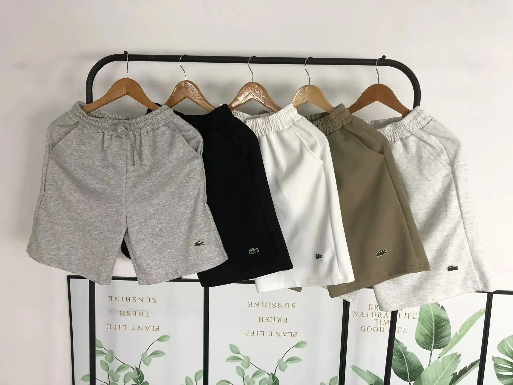 Lacoste Classic Cotton Shorts with Crocodile Logo - Gray