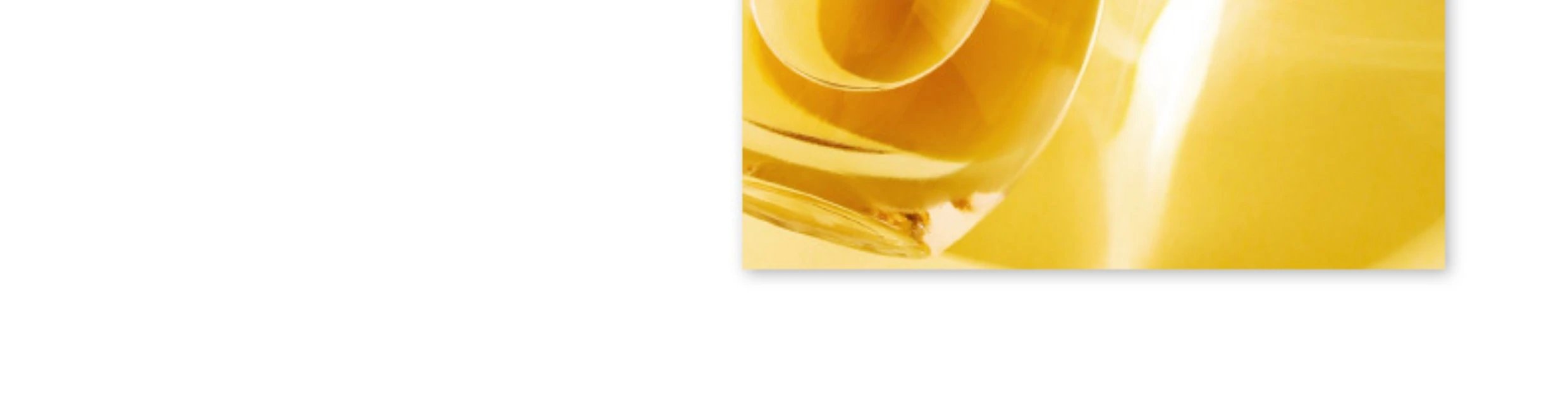 Dior J'adore Eau de Parfum Gold Bottle Perfume - 16