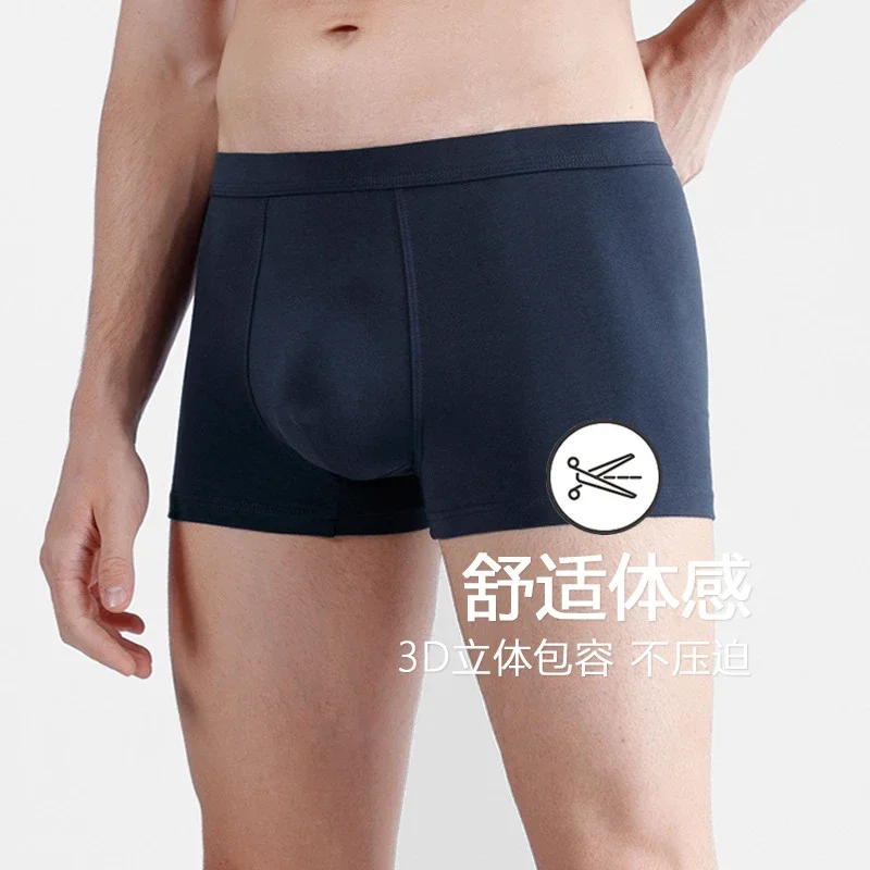 Spring-Summer A-Class: Seamless, Solid