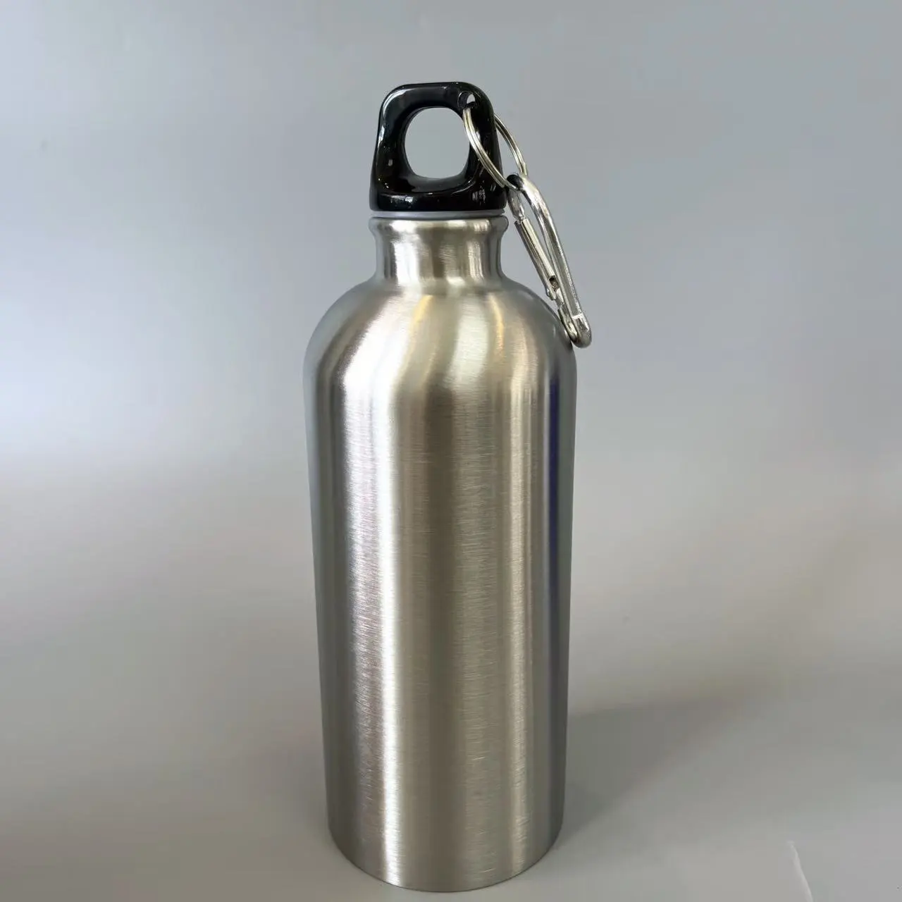 Stainless Steel Water Bottles