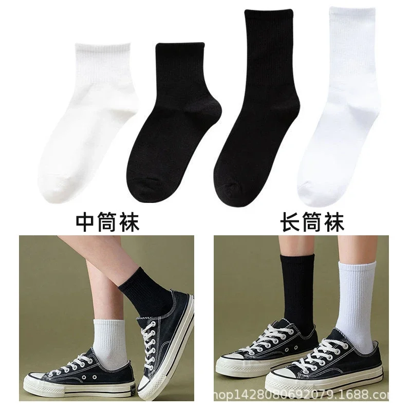 Unisex Solid Cotton Ankle Socks（10 pairs）