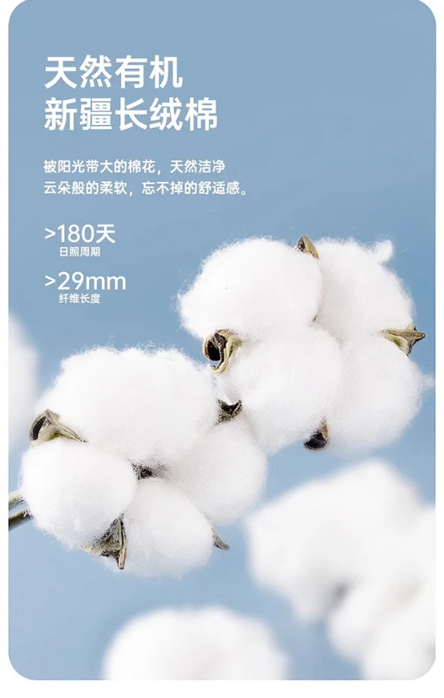 300g Heavy Cotton T-shirt Detail