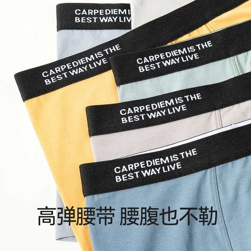 Men's Pure Cotton A-Class Boxers: 7A Antibacterial